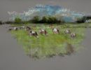 2024 0016 ppl img large