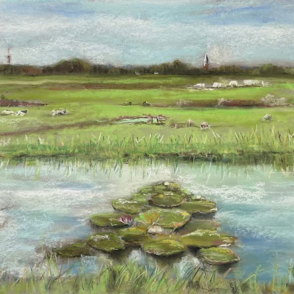 Landschappen